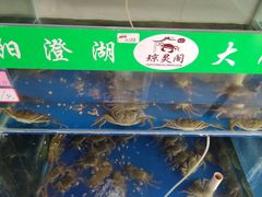 -阳澄湖大闸蟹·琼灵阁牌品牌连锁(吴中总店)