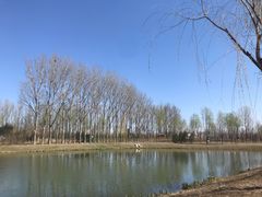 -东郊湿地公园
