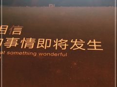 -万达广场(菏泽牡丹店)