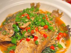 -乔街深夜食堂·台州菜·高压锅生蚝(杭州总店)