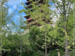 -牛首山文化旅游区