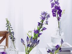 -INSDREAM FLOWER 鲜花预定·花艺培训