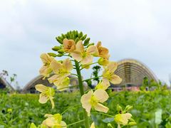 -中国天府农业博览园