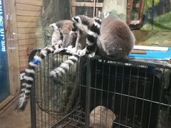 -洛阳龙门海洋馆