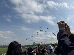 -盐城丹顶鹤湿地生态旅游区