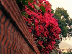 android_upload_pic-铁路文化公园