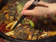 -老板恋上鱼(高新万达店)
