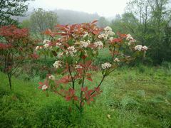 -天润发屯溪元一店(元一大观上河城店)