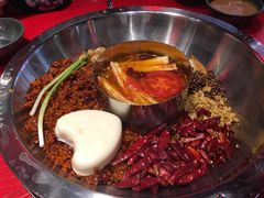 -谭鸭血老火锅(漳州路店)