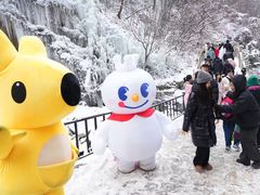 -少华山国家森林公园