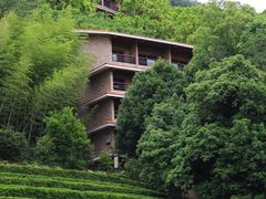 -雁南飞茶田景区