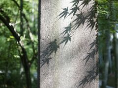 -云栖竹径