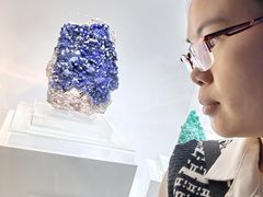 -中国地质大学逸夫博物馆