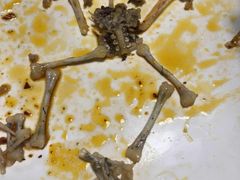 -味之绝热血美蛙鱼火锅(中坝店)