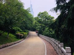 -北极阁公园