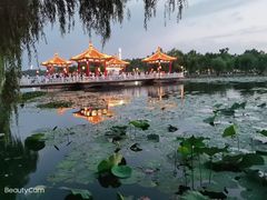 -长春市南湖公园