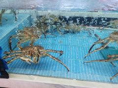 -马王堆海鲜水产市场