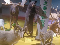 -枫叶小镇奥特莱斯