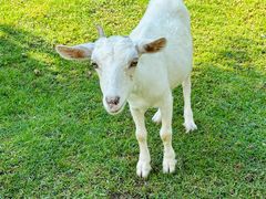 -东南花都花博园