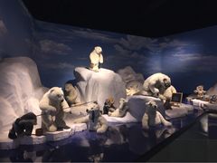 泰迪熊博物馆-成都泰迪熊博物馆