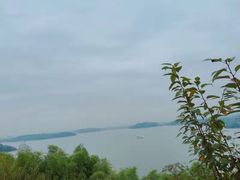 -天目湖涵田半山温泉