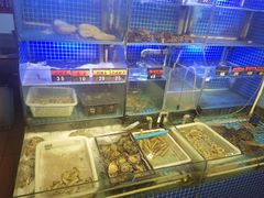 -捞围鲜·港式打边炉(海阳路店)