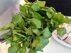 西洋菜-同仁四季椰子鸡(福田东园总店)