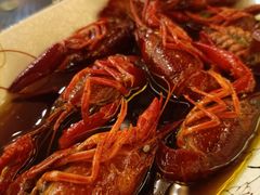 熟醉小龙虾-科尔海悦酒店樱之河日本料理(清河东路店)