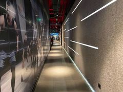-威尔仕健身·游泳(KING88店)