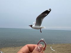 -青海湖二郎剑景区