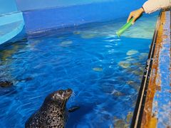 -太平洋海底世界