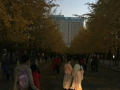 -辽宁大学(崇山校区)