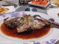 石斑鱼-顺峰海鲜酒楼(省府店)