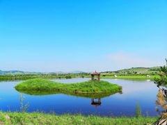 -御道口草原森林风景区