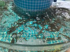 -蓝珊甄选海鲜自助·火锅大排档(近阿那亚店)