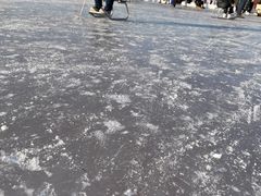 -绿野森林乐园冰雪季