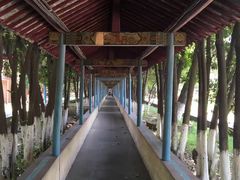-华西村