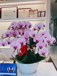-丽美妍医疗美容·皮秒·立体分层抗衰