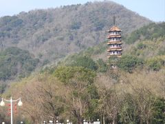 -天下玉苑