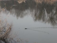 -紫霞湖公园