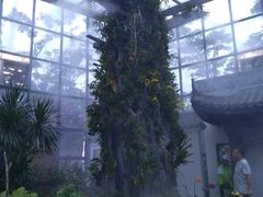 -东莞植物园