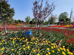 -泗洪洪泽湖湿地景区