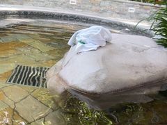 -碧水湾温泉