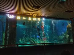 -锦艺城海洋馆