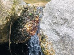 -抱龙峪