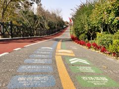 -上海长兴岛郊野公园