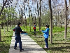 -森林公园(尖草坪区)