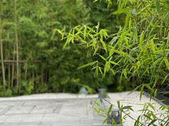 -南京夫子庙石唯玉雨花石酒店