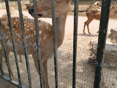 -无锡动物园·太湖欢乐园