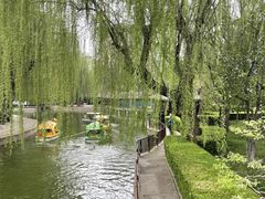 -团结湖公园
